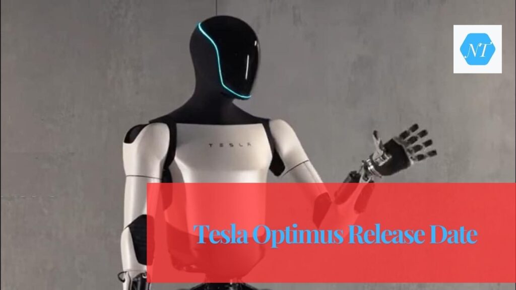 tesla optimus release date